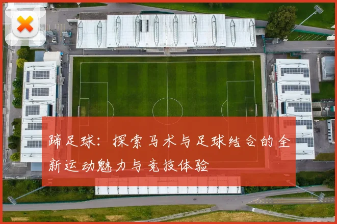 蹄足球：探索马术与足球结合的全新运动魅力与竞技体验