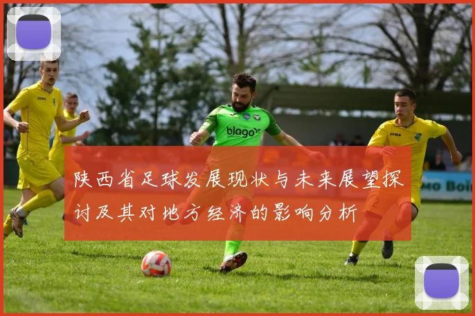 陕西省足球发展现状与未来展望探讨及其对地方经济的影响分析