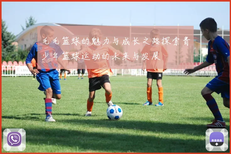 毛毛篮球的魅力与成长之路探索青少年篮球运动的未来与发展